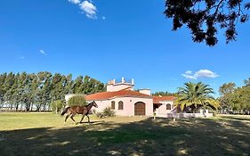 Casaquinta Haras El Tropicano
